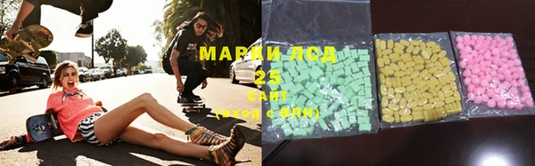 гашик Аркадак