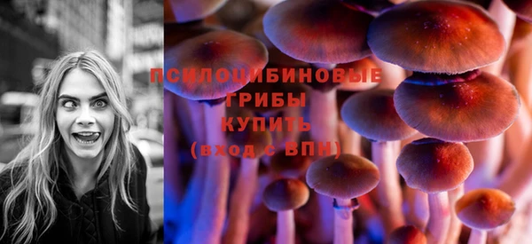 гашик Аркадак