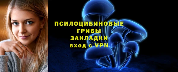 гашик Аркадак