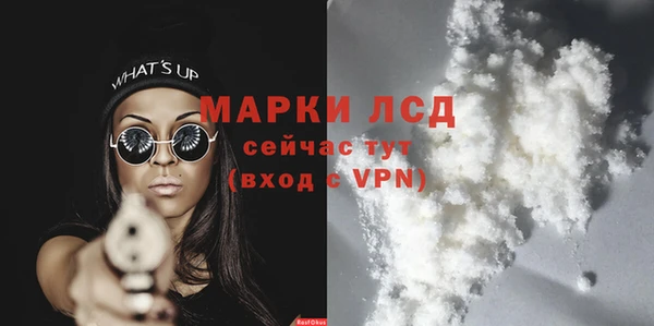 гашик Аркадак