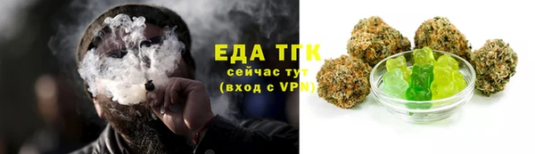 трава Коряжма
