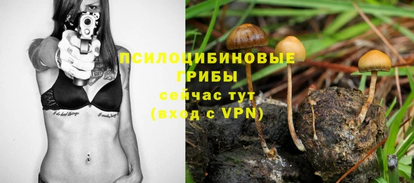 таблы Армянск